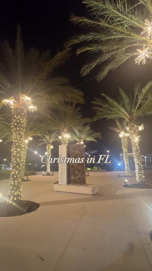 Something about FL palm trees & Christmas lights 🌴✨
•
•
•
•
•
#floridachristmas #floridavacation #beachvacation #holidays #florida #tampabay