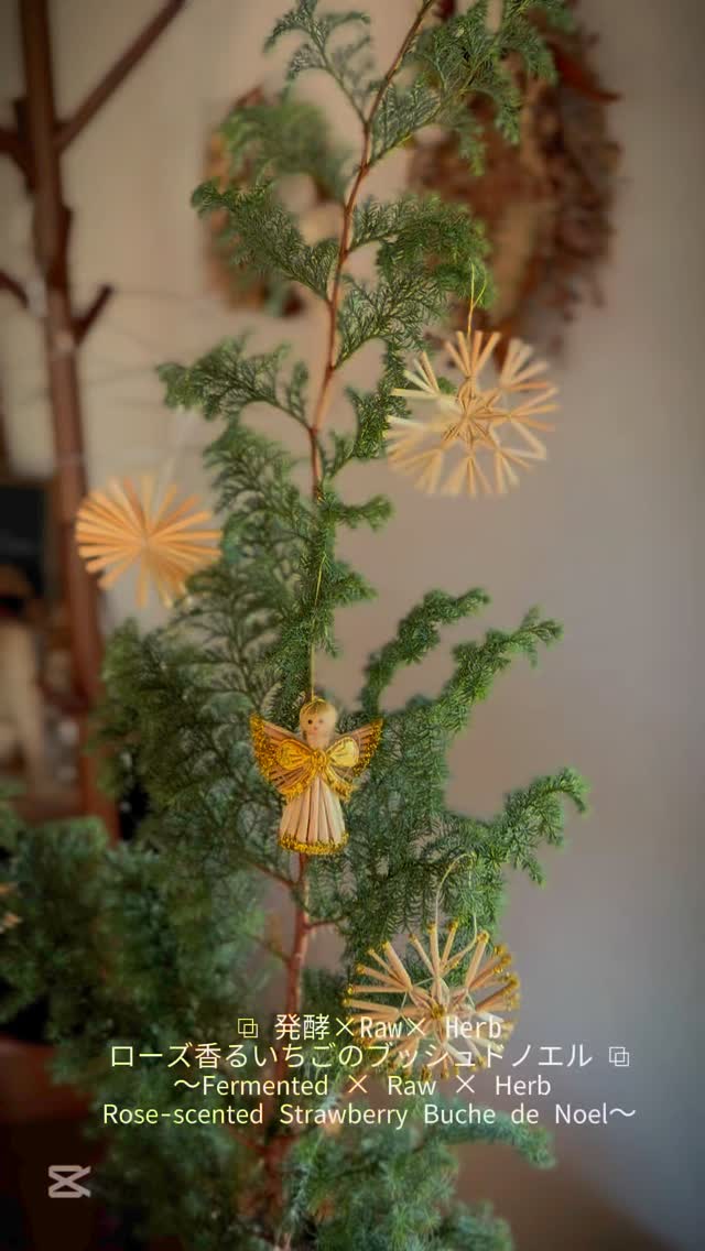 〜𝑳𝒆𝒔𝒔𝒐𝒏 ✼ 𝑹𝒂𝒘 𝒔𝒘𝒆𝒆𝒕𝒔 〜
ロースイーツレッスン
▤ Lesson ▤
------------
⧉ 発酵×Raw× Herb
ローズ香るいちごのブッシュドノエル ⧉
〜𝖥𝖾𝗋𝗆𝖾𝗇𝗍𝖾𝖽 × 𝖱𝖺𝗐 × 𝖧𝖾𝗋𝖻
𝖱𝗈𝗌𝖾-𝗌𝖼𝖾𝗇𝗍𝖾𝖽 𝖲𝗍𝗋𝖺𝗐𝖻𝖾𝗋𝗋𝗒 𝖡𝗎𝖼𝗁𝖾 𝖽𝖾 𝖭𝗈𝖾𝗅〜
------------
ローズの香りがふわっと優しく、
クリームに発酵いちご餡を隠しているので
軽めの甘さが人気です。
ローズの愛と癒しのエネルギーが
クリスマスに大切な方との絆を結びます・:*+.
…
今年最後のスイーツレッスンが終了。
今年は新たな基盤をつくるべく
ゆっくりとした動きの中、
サロンとして新たな展望を築くことができた、
そんな一年でした。
今まで愛してきたロースイーツに、
発酵と、植物療法の意図をくみこんだ
癒しのスイーツ。
“見た目”と“香り”と“味”、そして“エネルギー”
心と舌と身体を光で満たします…
これからも新たな挑戦と共に進化を続け、
出会いに感謝しながら歩んでいきます。
これまで繋がってくださった皆さま、
そしてこれから出会う皆さま、
どうぞよろしくお願いいたします✧
˚°ºᵒ•♡•ᵒº°˚♢°ºᵒ•♡•ᵒº°˚♢°ºᵒ•♡•ᵒº°˚
《12月スケジュール》
26〜27日
スピリチュアルカウンセリング
28〜31日 お休み
《1月スケジュール》
1〜5日、13、15、27日 お休み
6〜10、14、16〜17、20、22〜24、29〜31日
スピリチュアルカウンセリング
21日 ドラゴンクリスタルチャネリング講座
26、28日
発酵×Raw× ハーブ
チョコレートケーキ レッスン
上記日程以外で
ロースイーツレッスン
スピリチュアルカウンセリングのリクエスト受付中♪
⁎⑅⃝⁎୨୧⁎⑅⃝⁎୨୧⁎⑅⃝⁎୨୧⁎⑅⃝⁎୨୧⁎⑅⃝⁎୨୧⁎⑅⃝
《募集中講座》
🌿ロースイーツパティシエ認定講座
→ロースイーツのノウハウを学びます
🌿ローショコラパティシエ講座
→ローチョコレートに特化した講座です
他リクエスト可能
🌹花おはぎレッスン
ヴィーガン仕様の餡を使った可愛いお花絞り
🌹ショコラフラワー講座
仕様の違う3種類のチョコレートでお花絞り
🌿𝒍𝒐𝒉𝒂𝒔𝑻𝑰𝑪 𝒔𝒘𝒆𝒆𝒕𝒔は
日本ヘルシーフード協会
『ロースイーツパティシエ』
『ローショコラパティシエ』
𝗋𝖺𝗐&𝗋𝖺𝗐認定校になります
@𝗋𝖺𝗐𝗌𝗐𝖾𝖾𝗍𝗌.𝖺𝗄𝗂.𝗏𝖾𝗀𝖾𝖻𝗂𝗈
🍎発酵料理教室 円居認定講師
🌹社)𝑨𝑳𝑨
『ショコラフラワー認定講師』
*・゚゚・*:.。..。.:*・゚゚・*:.。. .。.:**・゚゚・*:.。..。.:*・゚゚・*:.。.
《𝒍𝒐𝒉𝒂𝒔𝑻𝑰𝑪 𝒔𝒘𝒆𝒆𝒕𝒔》
ロースイーツ/発酵スイーツ/植物療法/花おはぎ
/ベビー教室/スピリチュアルサロン
☆𝑳𝑰𝑵𝑬 (𝑰𝑫→@𝟥𝟩𝟨𝗊𝗎𝗏𝗅𝗂)のお友達追加で
お得なクーポン配布中♡
スピリチュアルカウンセリングアカウントは
@draco_illumina
#ローショコラパティシエ #ローショコラ #ローチョコレート #ローチョコレートレッスン #ローチョコレート教室 #ヴィーガンスイーツレッスン #ヴィーガンお菓子 #オーガニックスイーツ #プラントベーススイーツ #身体に優しいお菓子 #グルテンフリーのお菓子 #発酵おやつ #発酵ジュース #発酵シロップ #発酵スイーツ #ハーブスイーツ #フィトセラピー #phytotherapy #植物療法 #静岡花おはぎ #ロースイーツオンラインレッスン #子連れ参加 #ロハスチックスイーツ #ロースイーツ講座 #𝚛𝚊𝚠𝚜𝚠𝚎𝚎𝚝𝚜𝚕𝚎𝚜𝚜𝚘𝚗 #ロースイーツ教室 #ロースイーツ焼津 #ロースイーツ静岡 #焼津ママ