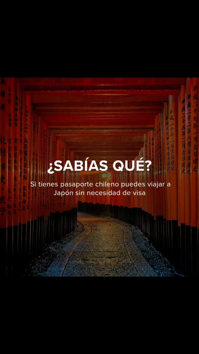 🇯🇵 ¡Descubre la magia de Japón!
✅ Seguridad incomparable, perfecta para explorar sin preocupaciones.
🚄 Transporte puntual y fácil de usar, ideal para recorrer todo el país.
🎨 Museos fascinantes como el icónico Museo Ghibli, que da vida al arte del anime del Estudio Ghibli.
Esto es solo una muestra de todo lo que Japón tiene para ofrecer. 🌸 ¿Ya estás soñando con este destino? 🌏💭
#in2travel #diseñodeexperiencias #travelling #viajes
