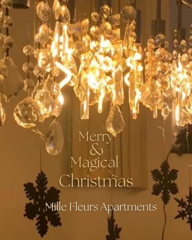 🎄 E N J O Y C H R I S T M A S 🎄 @ Mille Fleurs Apartments 🌸💕
Celebrate the most festive season of the year at Mille Fleurs Apartments. Come over to this lovely country site of the Voer-region and enjoy the good food in the restaurants and markets in this region.
#christmas #beautifullandscape #naturelover #natuur #voeren #limburg #voerstreek #wandelen #hiking #millefleurs #appartementhuren #vakantiehuis #vacation #rent #apartment #rentapartment #vlaanderenvakantieland #ilovelimburg #vakantieineigenland #sintpietersvoeren #altijdlimburg #belgium #visitlimburg #wanderlust #bronnenwandeling #wandelparadijs