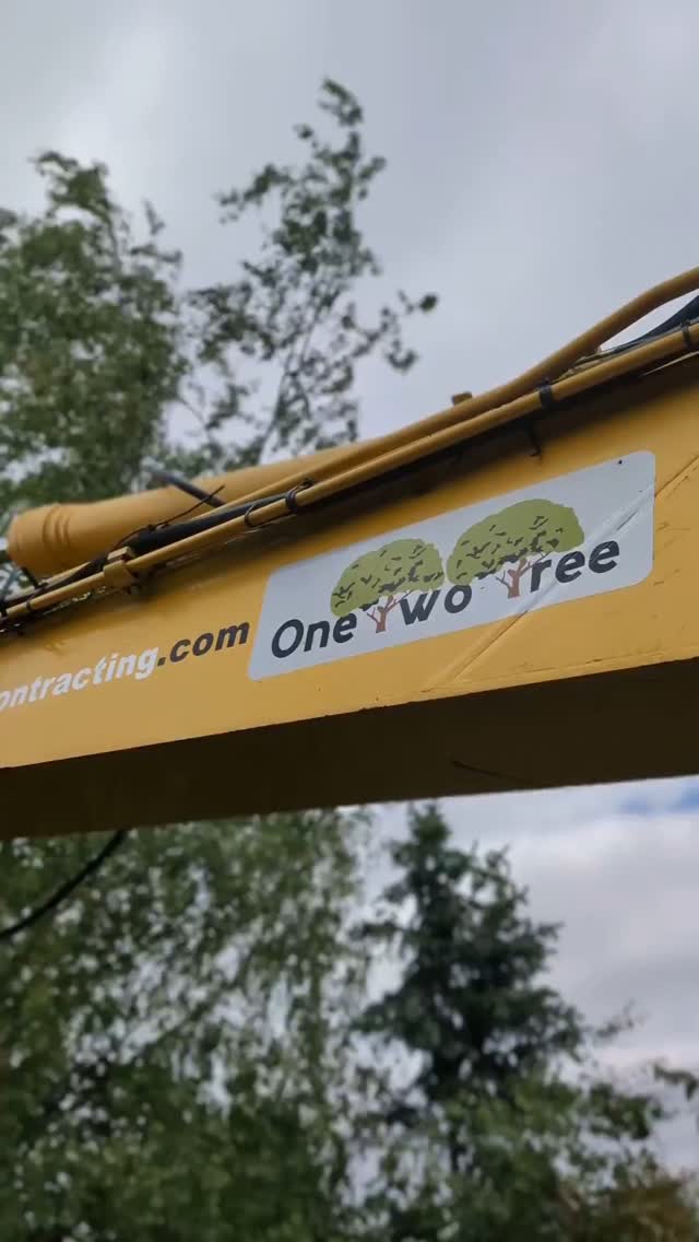 Highlights from the first 6 months of 2024 📸📽️ it's been a fantastic year across tree surgery and mechanised tree contracting 🪚🪓🌳 thank you to those who have worked hard to deliver the projects, to our new and returning customers and to our suppliers and contractors who keep the wheels turning 🙏🎄
@bethandewey @treemonkey13 @m1waymason @jordan_mair27 @romseytreesurgeons @callumcooper96 @tom.bunday @climbersway @dryadtreespecialists @countrywide_tree_specialists @exsel.plant @forestandarbhq @rotoarb_and_lifting @rcfengineering @fuelwoodwarwick @crawfordsmachinery @apsleyfarms @forst_woodchippers