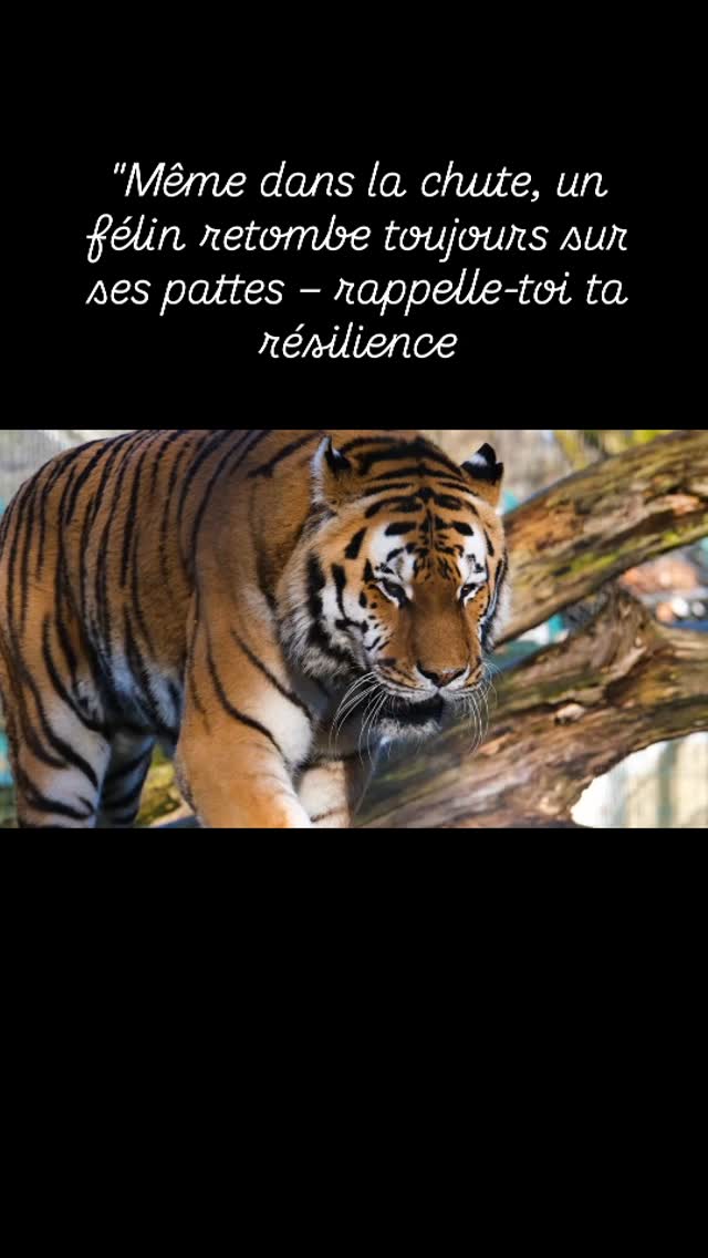 #resilience #estimedesoi #bonheur #bonheur #amour #joie #amourdesoi #confianceensoi