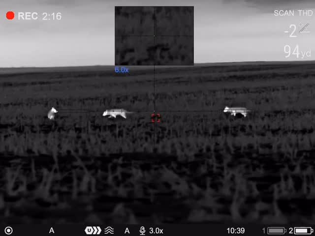 @caleb_werdel needs some target practice ! Come shoot em all, give us a call today!