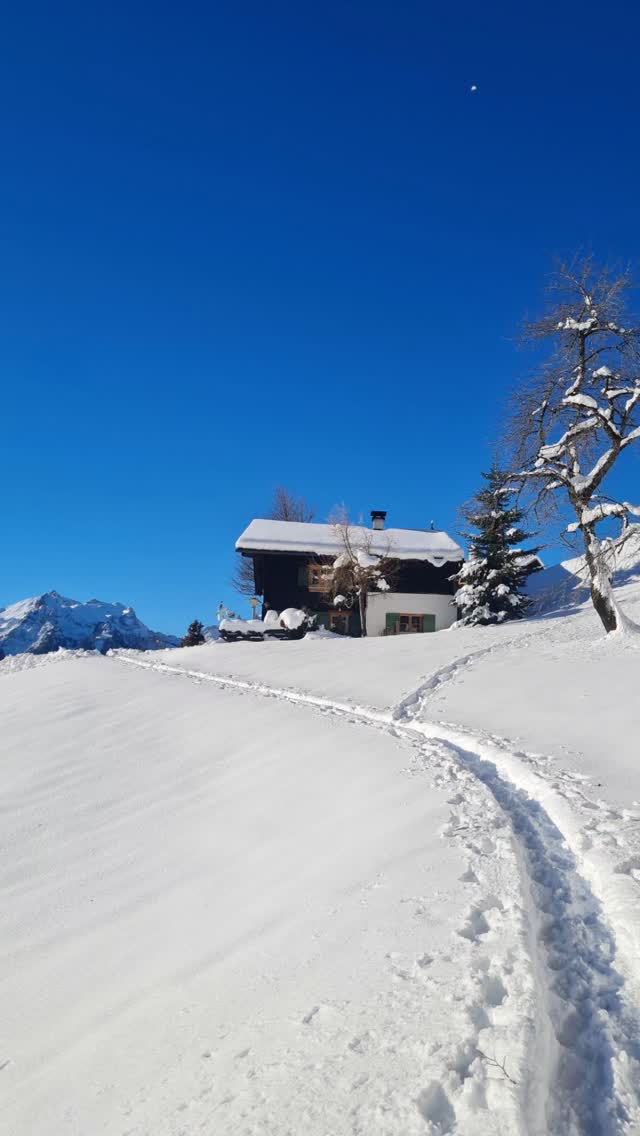 Wir stapfen einsam durch den Pulverschnee ❄️ Schritt für Schritt knirscht der Schnee unter unseren Sohlen. Die Luft glitzert in der Kälte. Das Blau des Himmels besticht mit seiner intensiven Farbe. Die Sonne wärmt unsere strahlenden Gesichter. Herz was willst du mehr? 🩵
Bei einer geführten Winterwanderung erlebst du den Winter hautnah. Bist du dabei?
#winterwandern #wandern #hike #iguideyou #bergliabi #naturelover #traumtag #pulverschnee #mountain #muntafu