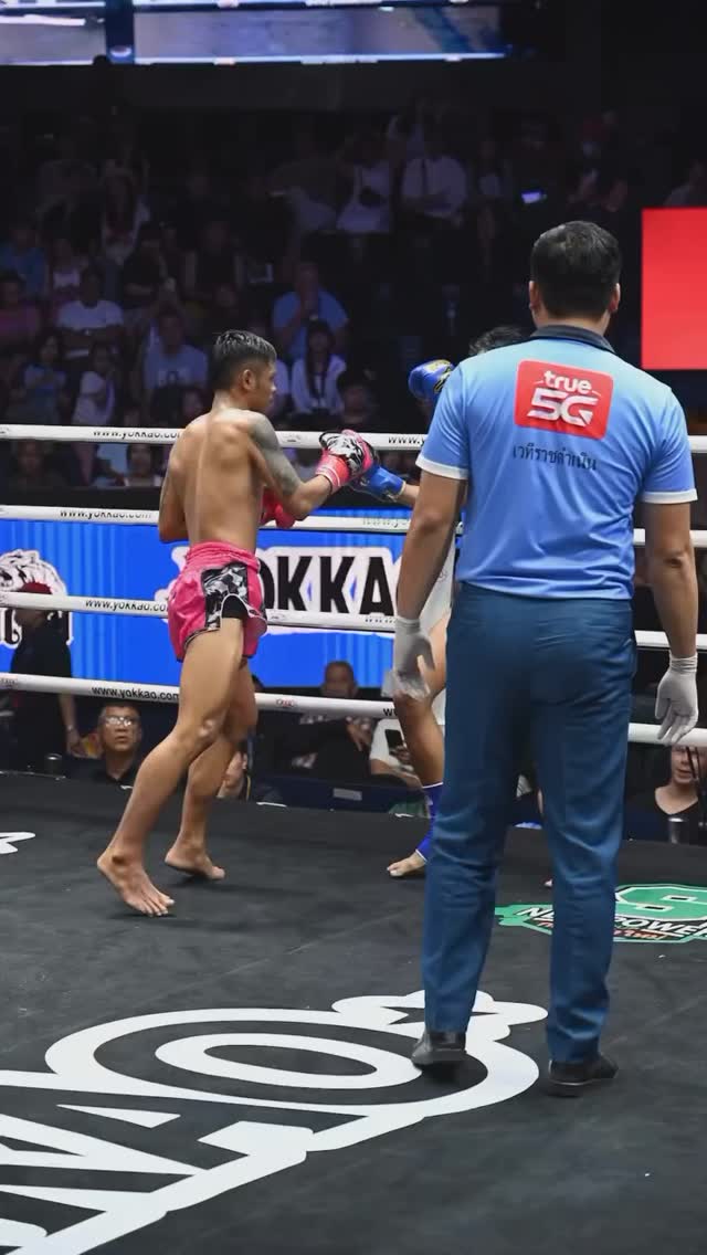 Let’s have dinner!