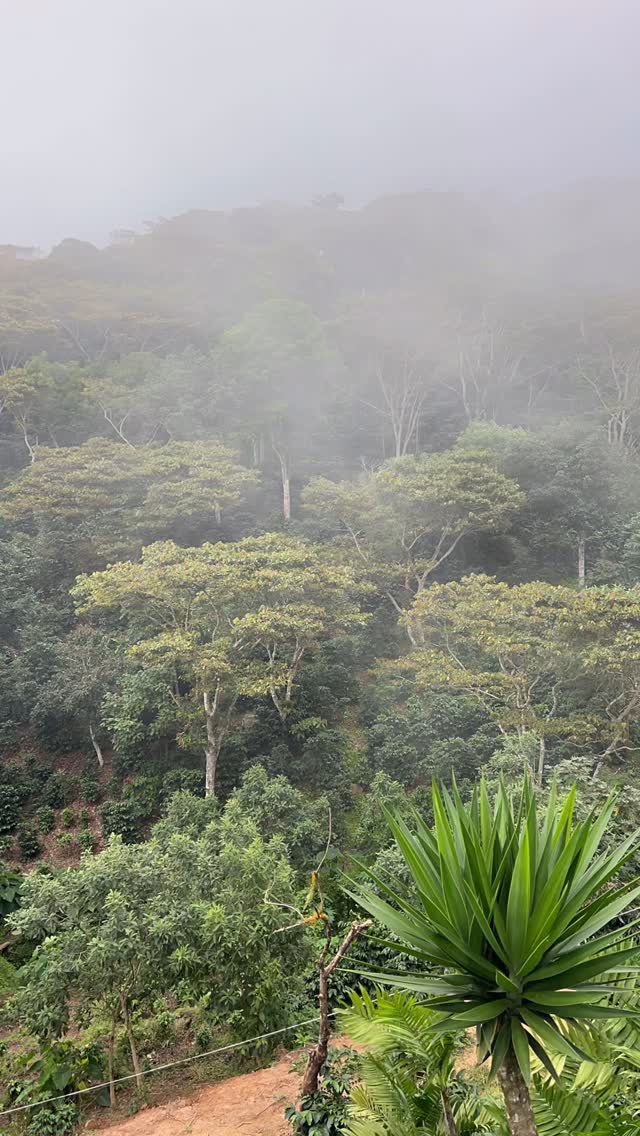 Sunday morning among the clouds ☁️☕️❤️