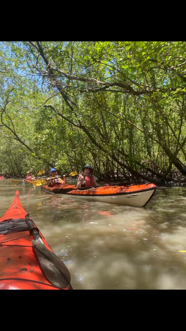 Feliz Ano Novo!!
Que seu ano seja leve e divertido.
Esperamos que realize seu sonho de remar em Paraty, com a melhor operadora de turismo; Paraty Explorer 😁
#paraty #natureza #aventura #ferias #verao2025 #abeta #natureza #kayaktourparaty #passeiodecaiaque #caiaquebrasil