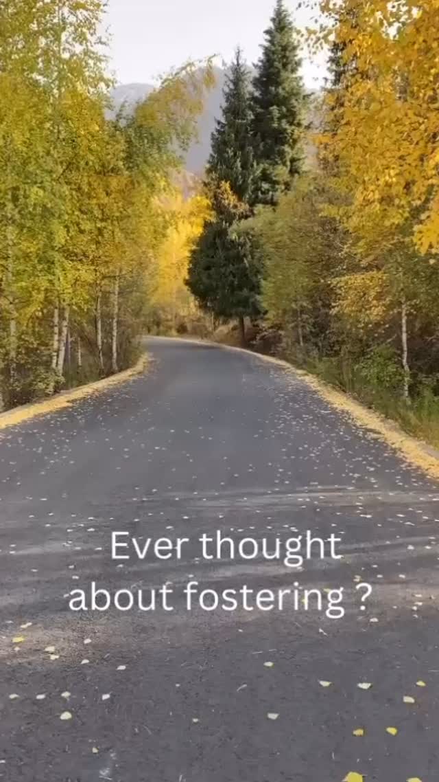 🌷Become part of us, call : 01959 535025 🌷
Joining our fostering agency means becoming part of a dedicated community committed to transforming the lives of vulnerable children and young people. We offer comprehensive training, ongoing support, and a welcoming environment to help you thrive as a foster carer. Whether you’re new to fostering or have prior experience, we’ll guide you every step of the way, ensuring you feel confident and valued. By opening your heart and home, you can make a lasting difference, providing stability, care, and hope to those who need it most. Join us today and be the change in a child’s life.
#fostercareuk #foster #fostering #fostercareawareness #fosterparent #makeadifference #children #fosterlove #fosterwithus #support #fosterfamily