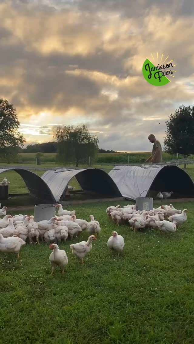 “When you’re through changing, you’re through.” #brucebarton #marthastewart #pastureraisedeggs #pasturedpoultry #regenerativefarming #Regenerativeagriculture