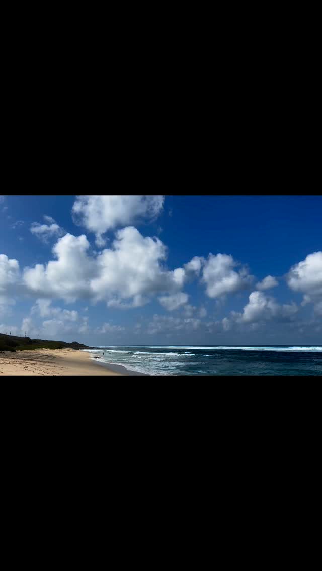 A wonderful memory.Hawaii is always waiting for you.
#plusalohacafe
#beach
#plus aloha_minamihaya