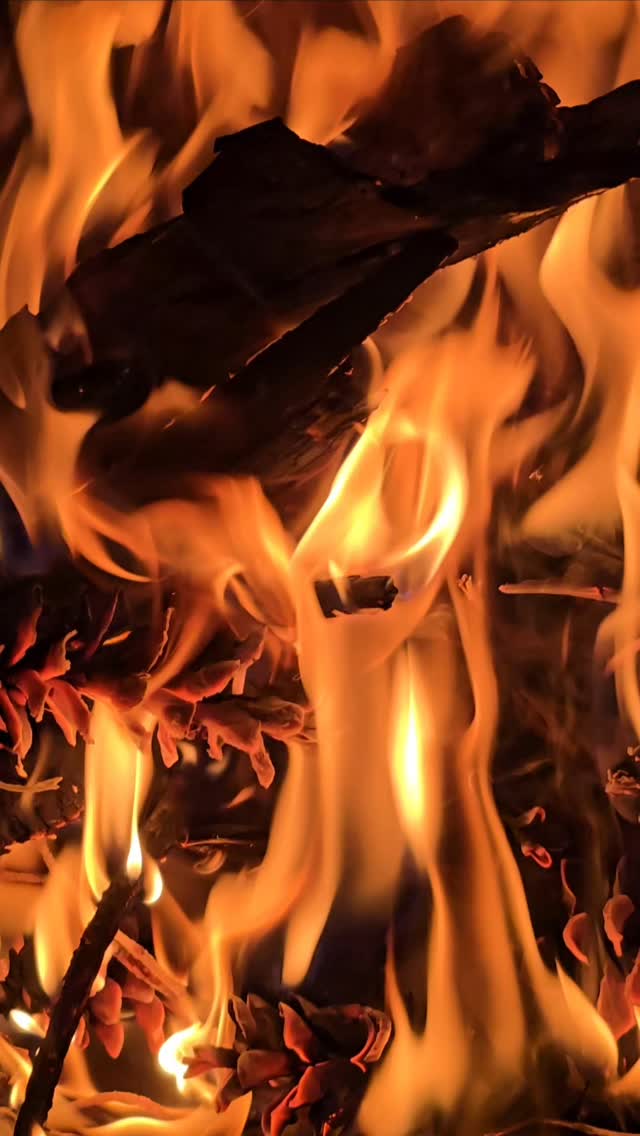 Nothing like a good fire to burn away, calcinate, disintegrate, separate, dissolve, filter and conjunct.
Three days from 31st Dec.to 3rd Jan. and still thankful to have been taught alchemy 3 years ago. The power of fire and flame.
May you find your fire- right in the nick of divine time.
#breathwork
#asian_female_entrepreneur
#growth #newbeginnings #healthyliving
#shakti
#slowmotion
#coherence