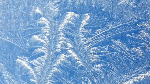 Here is your unique Happy New Year card from Mother Nature today! A piece of stunningly intricate and beautiful Jack Frost Art, created on my porch roof-glass in the wee hours of this and clearly made for sharing. You're welcome xx 😍😊😎💖
#jackfrost #beautyinnature #taketimetonotice #frost #derbyshire
#reasonstobegrateful #naturetherapy
#smile @eileenstrong_uk #Belper
#happy2025 #justwow