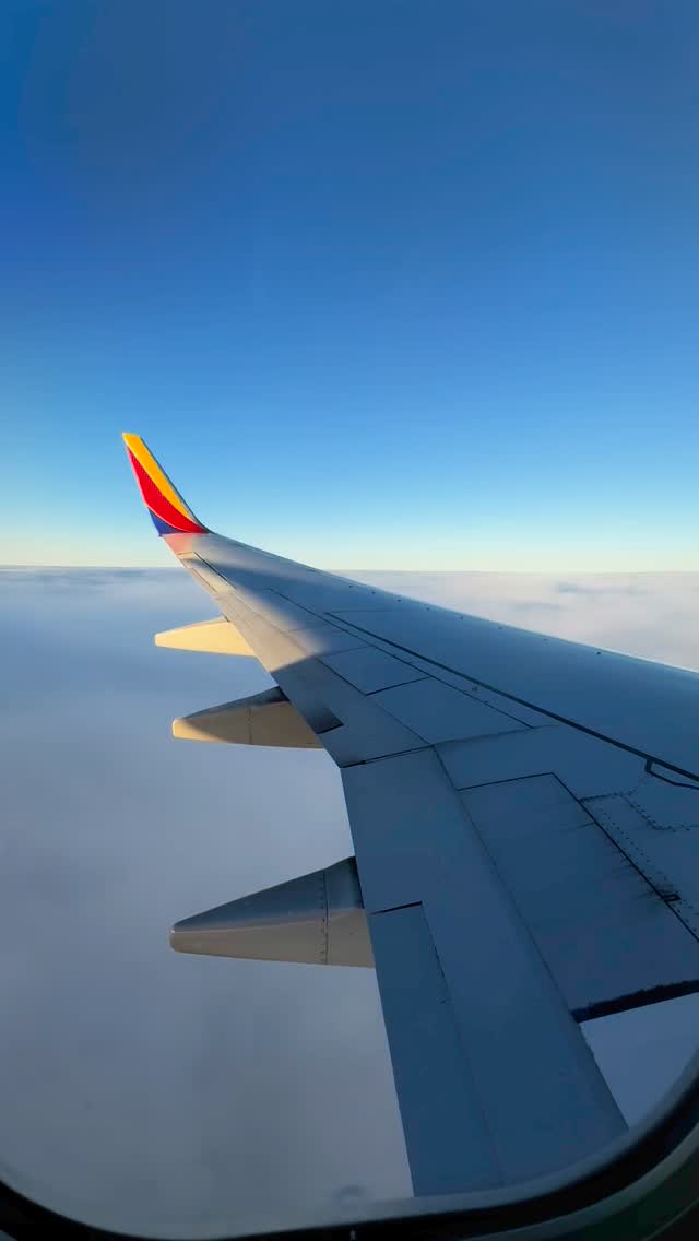 Work hard, travel harder! ✈️🌴
Why work from home when you can work in paradise at our airbnb - @driftwoodcottagepalmharbor 🌴
Florida’s sun, sand, & endless beach adventures are calling you! ☀️🌊
Do you WFH? 💻
•
•
•
•
#visitflorida #floridalife #florida #travel #workfromhome #wfh #beach #vacation #tampabay #sunshinestate