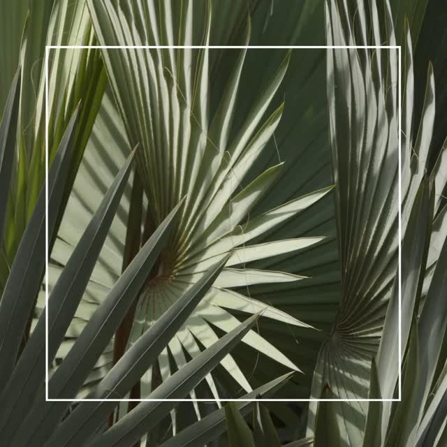 Exciting News! Dr. Brianna is Now Available for Appointments!
To welcome you to her services, she is offering an initial 90-minute consultation for just $299.
This comprehensive appointment is designed to provide you with a full assessment and personalized care plan tailored to your needs. We can’t wait for you to experience the exceptional care she offers!
Why See a Naturopathic Doctor?
Naturopathic medicine focuses on supporting your body’s inherent ability to heal through natural and holistic approaches. Dr. Brianna’s treatment plans combine evidence-based natural therapies with individualized care to address the root cause of health issues, not just the symptoms. Whether you are looking to boost energy, manage stress, improve digestion, or support overall wellness, a naturopathic approach can be a powerful addition to your health journey.