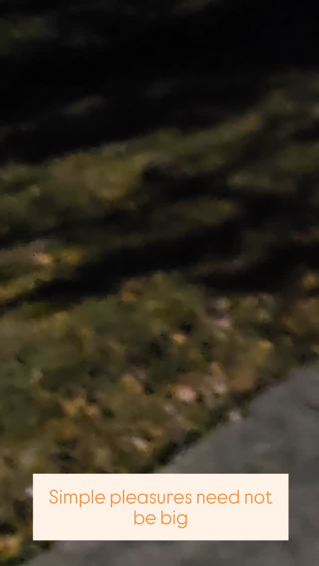 #breathwork
#asian
#coherence
#growth #asian_female_entrepreneur