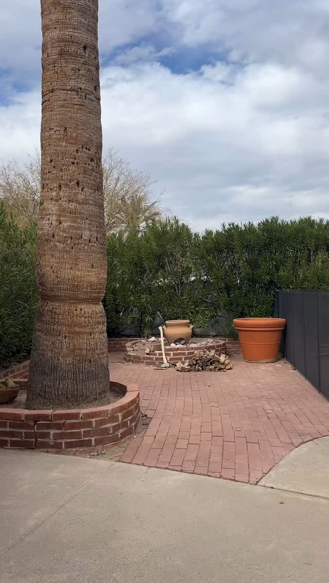 🚨 MTL Bagels are BACK! 🚨
Don’t worry… our bagels are a lot better than my dancing. And now, we are delivering right to your door!
Next bake drops on Sunday January 19th — don’t miss out! Pre-order on our website today!
🔗 link in bio or Order now at www.mtl-bagels.com.
#bagelsareback #MTLBagels #FreshBagels #BagelLovers #DeliveryOnly #tucsonfoodie #tucsonlocal