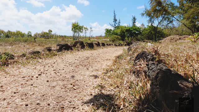 Experience comfort and performance like never before with our Dri-Fit Tees! Designed to keep you moving effortlessly. 🏃♀️🏃♂️
✅ High-performance Dri-Fit fabric
✅ Limited sizes: S & M only
💸 Now MUR495.00 (10% OFF – offer valid till 31 Jan!)
👕 Available in 3 design colours (Red, Blue, and Green)