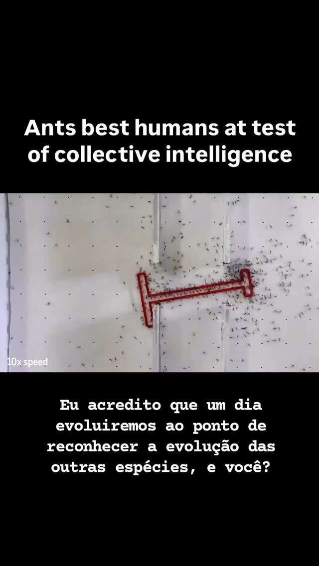 Via @sciencemagazine
As formigas foram mais eficazes que nós humanos neste teste de inteligência coletiva.
Bora parar para pensar?
#biodiversidade
#collectiveintelligence