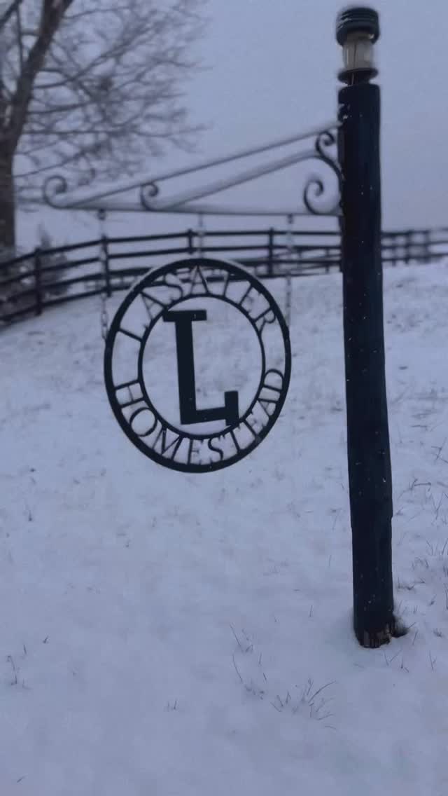 First snow day of the year here at Lasater Homestead!
Baby Louisa looks like she is having a great time and all the others seem curious to our sledding!
#lasaterhomestead #hereford #cattle #family #adventure
