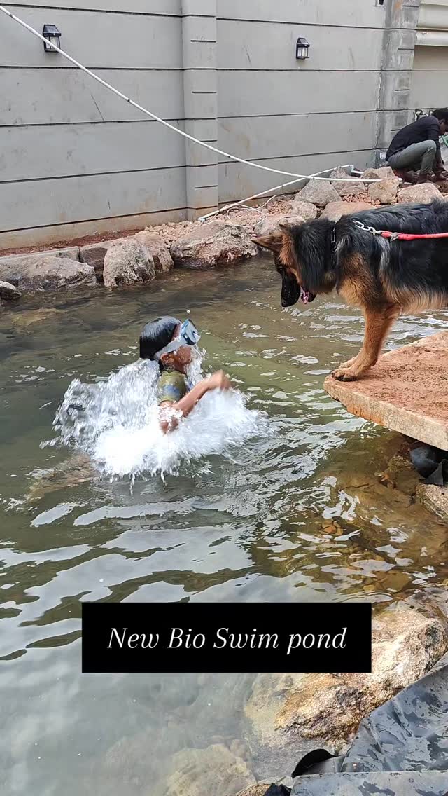 A New Bio swim pond just got completed in Coimbatore.
Clean, live water with no chemicals
