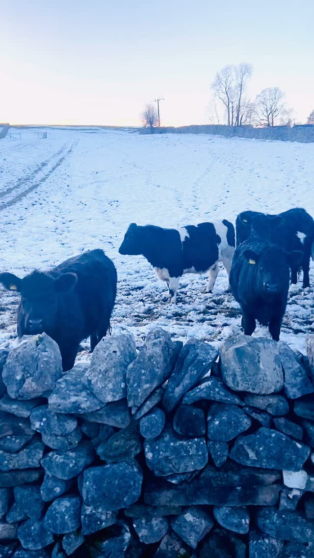 Ever get that feeling you’re being watched? 👀
‘Magic in the grass’…handmade in the heart of the @yorkshiredales