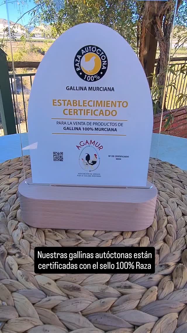 Nuestras gallinas Murciana y Castellana Negra están certificadas con el sello 100% Raza Autóctona. Este sello garantiza que los productos que lo lleven provienen de gallinas registradas. Esto lleva implícito que los animales deben cumplir unas condiciones de bienestar animal, control veterinario y que no han sido modificadas genéticamente.
Para nosotros es muy importante que nuestros clientes puedan certificar que los productos que consumen provienen de animales registrados, por eso queremos dar a conocer este sello y también dar a conocer aquellos restaurantes y establecimientos que venden nuestros productos.
En nuestro caso, somos la única finca certificada para vender huevos de Gallina Murciana y damos a todos los restaurantes que trabajan con nosotros un certificado numerado que garantiza que los huevos proceden de animales 100% Raza Autóctona.
¿Conocías este sello?
#sellorazaautoctona #razasgallinaautoctona #gallinamurciana #gallinacastellananegra