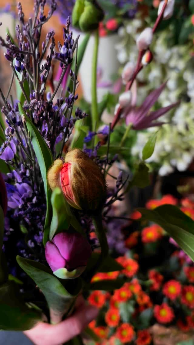 Beautiful tulip, genista, poppy, pussywillow and anemone bouquet 💐
The perfect pick me up or gift for the weekend
#flowersnug #studioflorist #supportsmallbusiness #shoplocal #springislush #scentedflowers #makemesmile