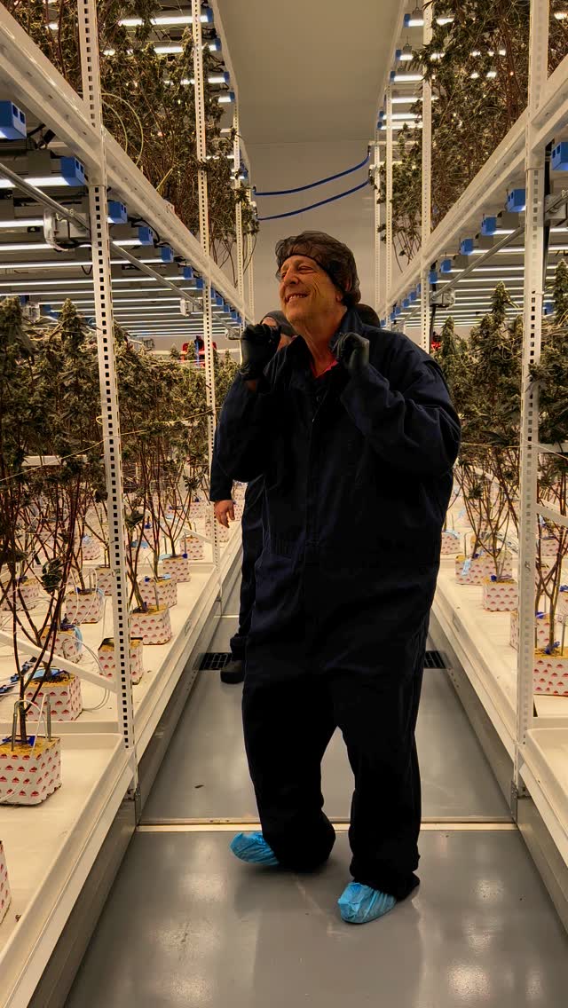 Every legend starts somewhere—ours begins with David! 👏David’s journey to founding Classic Roots was sparked by a deep love for Michigan and the best cannabis around.
Back in 1972, 10-year-old David took his first puff—thanks to a sneaky older brother who wanted to keep him quiet. It might not have been the most age-appropriate intro, but hey, it was the ‘70s!
From that moment, David fell in love with cannabis and he’s the reason Classic Roots is here today. Fast forward 45 years, in 2017, along with a group of like-minded friends, Classic Roots Farm was born with one mission: to cultivate the highest-quality flower possible.💚
Every day may not feel like a dance in the grow room, but we hope we bring this same energy and love to our customers. At Classic Roots, it’s about more than just cannabis—it’s about love for the craft. Every gram reflects genuine passion, care, and heart. 🤜🤛