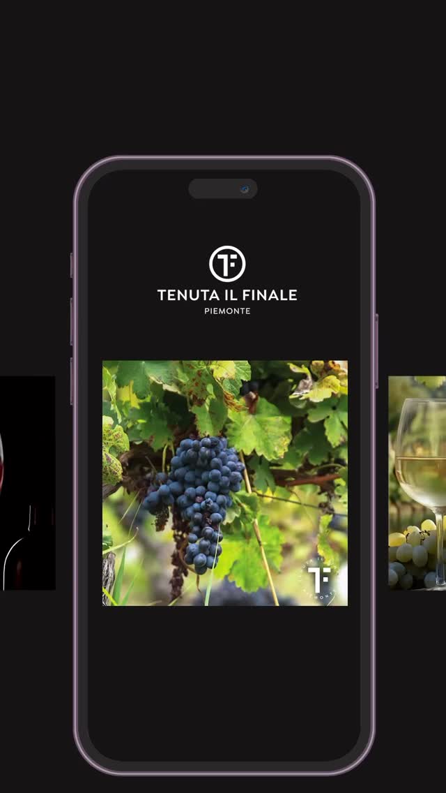 Thrilled to be creating and sharing the story of Tenuta Il Finale! From their breathtaking vineyards in Piemonte to the rich heritage behind each bottle, it’s a privilege to showcase the art of exceptional winemaking.
Stay tuned for more behind-the-scenes moments and wine highlights! 🍇🍷
Instagram: www.instagram.com/tenutailfinale
Facebook: www.facebook.com/tenutailfinale
LinkedIn: www.linkedin.com/company/tenutailfinale
.
.
.
#TenutaIlFinale #Winemaking #casestudy #socialmedia #limebluesolutions #travel #hotels #events #design #venue #live #virtual #production #av #incentives #rewards #client #sitevisit #uk #teammeeting #successful #LuxuryHotelsUK #venuefinding #eventprofessionals #eventprofsuk #berkshire #cookham #creativesolutions #eventstyling #lifestyle