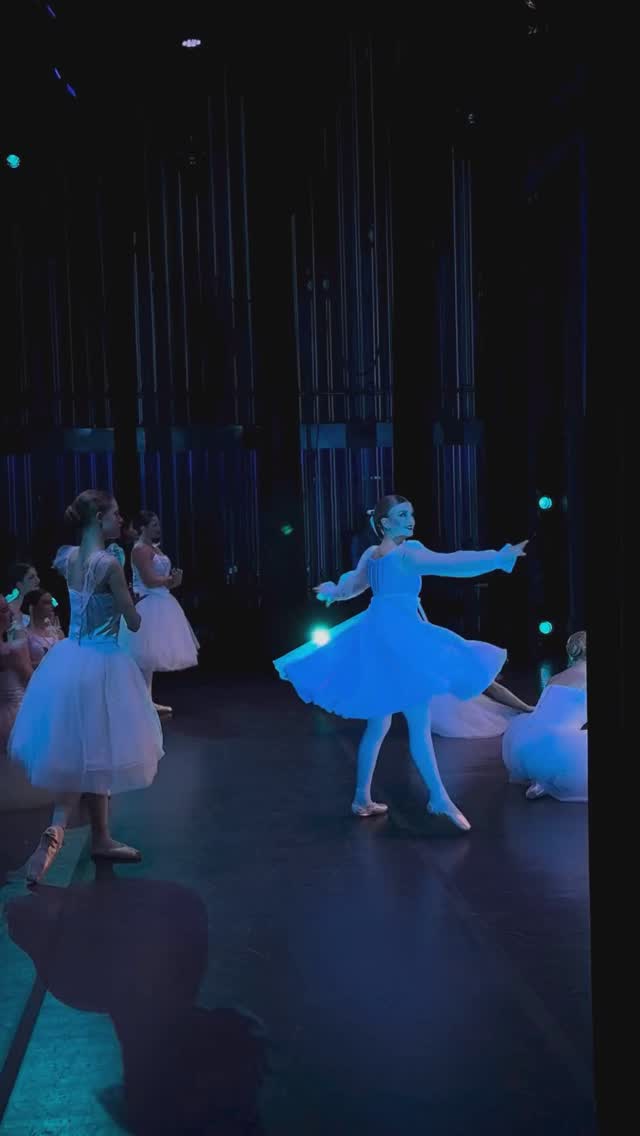 Enjoy another snow day!🪩🩰✨