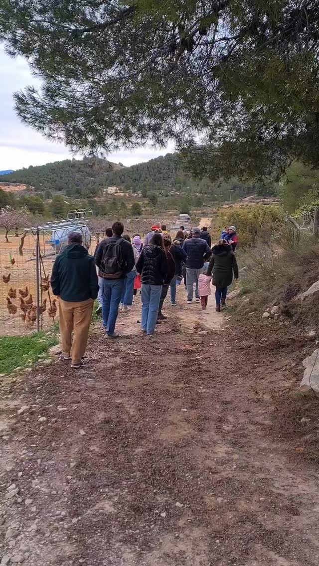 Este Domingo recibimos la visita de los ganadores del concurso para conocer nuestra finca.
En ella pudieron ver cómo viven nuestras gallinas y conocer la historia de nuestra finca y de los tres tipos de razas de gallinas que tenemos, entre ellas la Gallina Murciana y la Castellana Negra.
Después en el aula aprendimos muchas más cosas sobre el huevo, su conservación, vimos huevos fecundados en la incubadora y aprendimos qué es el sello 100% Raza Autóctona.
Los más pequeños disfrutaron de una manualidad y, para finalizar, degustamos unas ricas empanadas rellenas con huevos de Gallina Murciana a cargo de la panadería Desavio en Bullas y una deliciosa tarta de queso también elaborada con nuestros huevos de la mano de @laboutiquedelpollocehegin.
Esperamos que os gustase la experiencia, ¡A nosotros nos encantó!
#visitarural #visitafincagallinasecologicas #vidarural #gallinamurciana #gallinacastellananegra #huevosecologicos #experienciaruralbullas