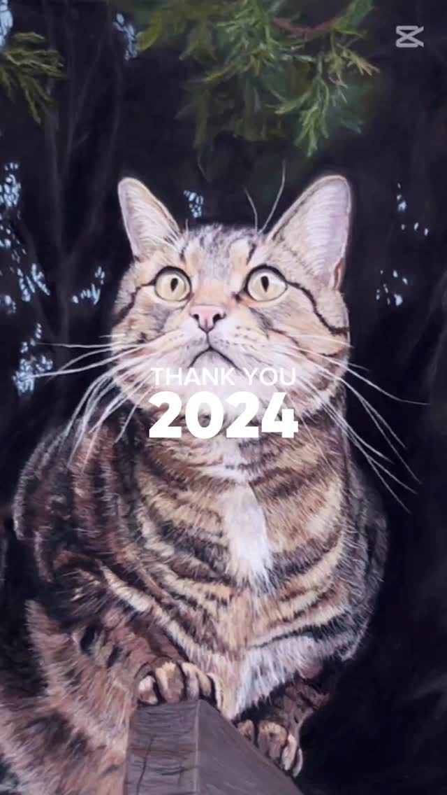 2024 pet portrait commissions. Thank you everyone! #cindyshropshireart #yxhartist #yxhlocal #custompetportrait #cindysart #custompetportrait #pets