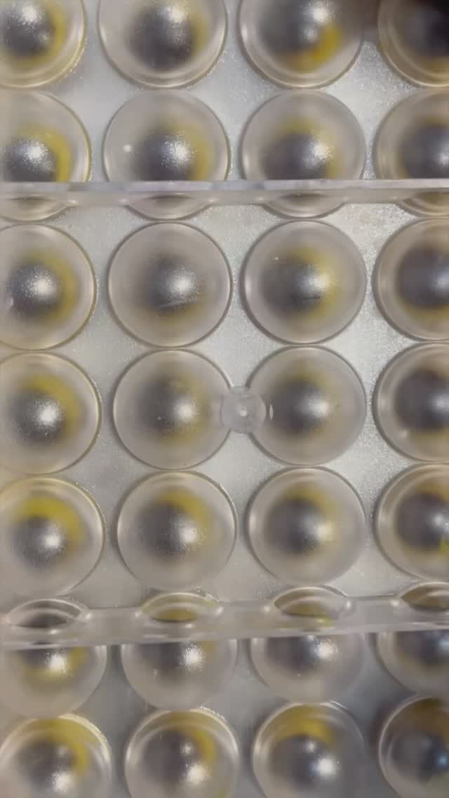 Happy New Year ✨
We are happy to be back and joining @partridgesfoods this Saturday 🍫
Here’s a little snippet of the final stage in creating our Pecan Praline & Banana Ganache moulded chocolate—one we know many of you can’t resist picking up multiple times a month!
We’ll see you on:
🗓️ Saturday, 18th January
📍 @partridgesfoods
⏰ 10:30 AM to 4:00 PM
#finefood #handmade #finechocolate #craftchocolate #artisanchocolate #beantobarchocolate #choco #chocolovers #beantobar #chelsea #londonfoodies