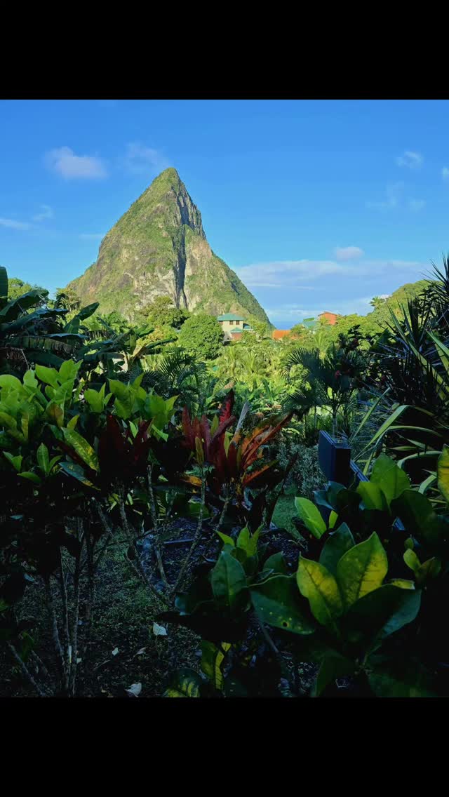 Always, always humbling to be tiny amidst the magnificence of earthly stone, changing skies and the rainforest....and then feel tall and strong because of it. The pitons, in St Lucia.
Feeling grateful for the senses and being alive.
#caribbean
#greenbeauty
#decoloniseyourmind
#asian_female_entrepreneur
#breathwork
#selfheal