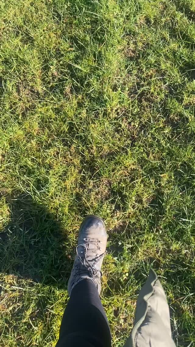 ☀️ The sunshine made all the difference today!
After a long and gloomy January, it felt so good to soak up some sun light. I’ve been working from the treatment room today, I couldn’t resist nipping out on a few walks across the fields in between treatments.
The warmth and the glow—it truly nourished my soul. 🌿
Who else has been feeling the winter blues? Let’s hope for more bright days ahead! 🌞💛
.
.
.
.
.
#winterwellness #sunshineboost #massagetherapy #selfcare #januaryblues #holistichealing #treatmentroom #shoscombe #massagetherapylife #bathsomersetengland #bathsomerset #mobilemassage #athomemassage #wellness #massagebath