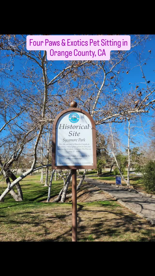 FOUR PAWS & EXOTICS PARK SERIES
Looking for a local park to take your dog to? Check out Sycamore Park in Mission Viejo, CA. This is a large, dog-friendly park with plenty of grass and trees for you and your dog to walk around. Street parking is available and free.
Don't have time to take your dog to Sycamore Park? Consider a dog walker like me. I offer 30-minute and 60-minute private dog walking services. For more info about my dog walking services, visit www.fourpawsandexotics.com.
#petsitting #dogwalking #orangecountydogwalker #missionviejo #ocparks #orangecountypetsitter