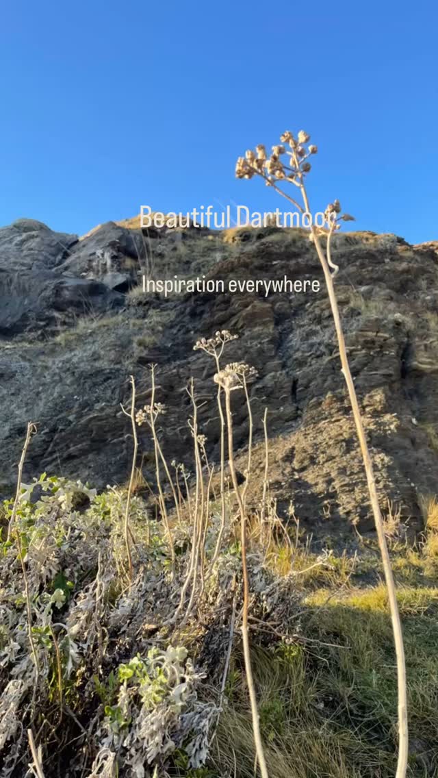So beautiful…my heart and soul are full.
#dartmoor
#dartmoornationalpark
#rippontor #landscapepainting
#artoftheday
#artistofinstagram
#rosmansfieldart