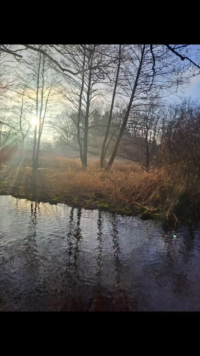 Je mehr ich mit mir selbst verbunden bin, umso mehr spüre ich die Verbindung zur Natur, zu Mutter Erde und damit zu allem und jedem. Hast du auch Lust auf diese Verbindung mit dir selbst?