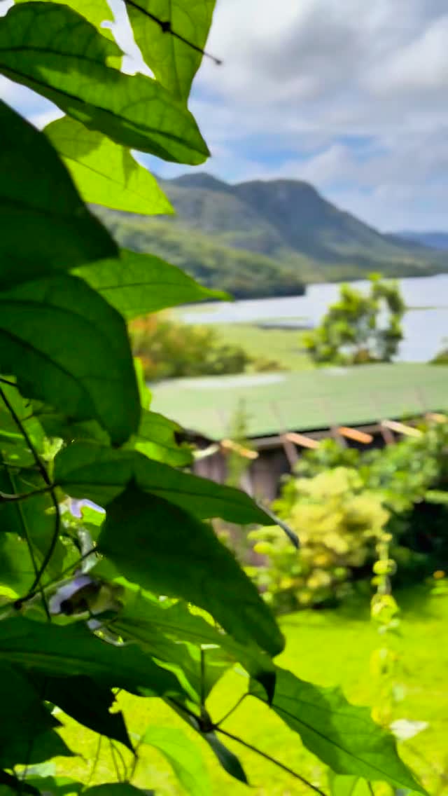 Carnaval 2025 - Docas da Lapa! 🌿
🌟 Pacote Mínimo
📅 Entrada: Sexta-feira, 28/02, a partir das 15h
📅 Saída: Terça-feira, 04/03, até as 19h
(Pacote pode ser alterado.)
💰 Valores:
👉 Doca 1 e 3: R$3000
👉 Doca 2: R$3540 (2 pessoas) | R$4250 (4 pessoas)
👉 Doca 4 e 5: R$2000
👉 Doca 6: R$1600
⚠️ Condições de Reserva:
✅ Confirmação mediante sinal de 50% via depósito bancário.
✅ Saldo restante deve ser depositado até 1 dia antes do check-in.
❌ Cancelamentos com menos de 20 dias terão reembolso apenas em crédito.
❌ Cancelamentos com menos de 10 dias perdem o sinal.
📩 Garanta sua vaga e aproveite o Carnaval com conforto e tranquilidade! 🌊✨
📸 Não esqueça de marcar #DocasDaLapa e inspire outras pessoas a descobrir seu próprio refúgio de paz!
Reserve já e aproveite!
#DocasDaLapa #LapinhaDaSerra #Natureza #Relaxamento #DescansoPerfeito #ConexãoComANatureza