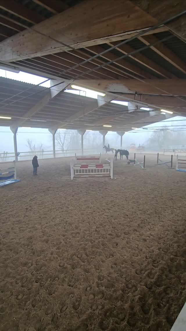 Heute war Trainingstag. Und unsere Concoursreiter:innen durften wieder Mal bei Niklaus Rutschi ganz viel lernen.
Wir sind schon ganz gespannt, was die neue Saison für unsere @okv.ch Kaderreiter:innen @_.alicegiorgi._, @viola_sodige und @villimey_patrice_vp bringen wird und sind stolz, dass sie im Namen des @rc_kolbenhof starten.
#kolbenhof #reitschule #reitstall #training #okv #rutschi #newseason