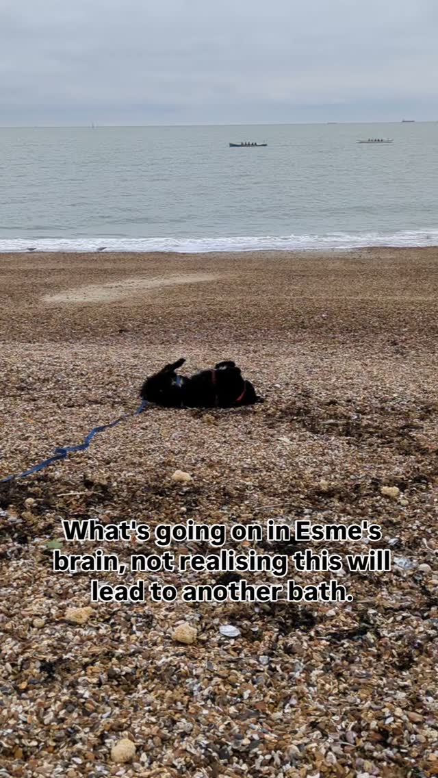 Another bath time incoming