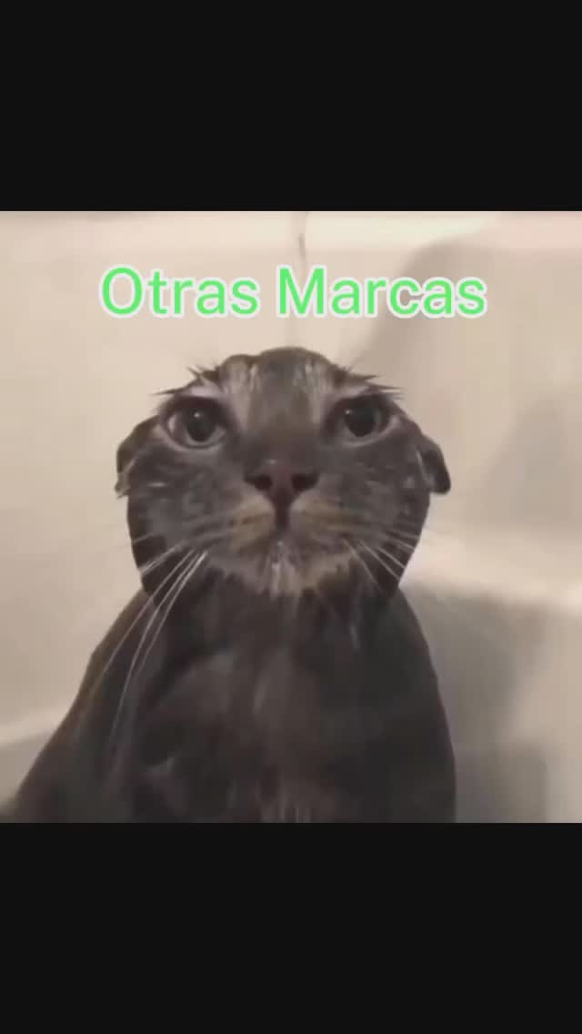 OTRAS MARCAS 🤷🏻♂️💀
Si lo que buscas es una excelente calidad y buenao diseños USABLES para el dia a dia, KITA MX es el indicado para ti
Nos preocupamos por ti, por tu estilo, por tu comodidad y sobre todo por tus GUSTOS 🤠🥳
#animejacket #animetshirt #animefashion #hoodiestyle #tshirts #animeshop #animecloth #animetee #animehoodieshopmalaysia #animemerchandise #otaku #tshirtdesign #animeusa #animetshirts #customhoodies #streetwear #teedesign #designapparel #hoodiecustom #oversizedhoodie #blackhoodie #illustrationart #dprinthoodie #hoodiedesign #ilustrasi #appareldesign #style #designtshirt #illustrations #womenshoodies