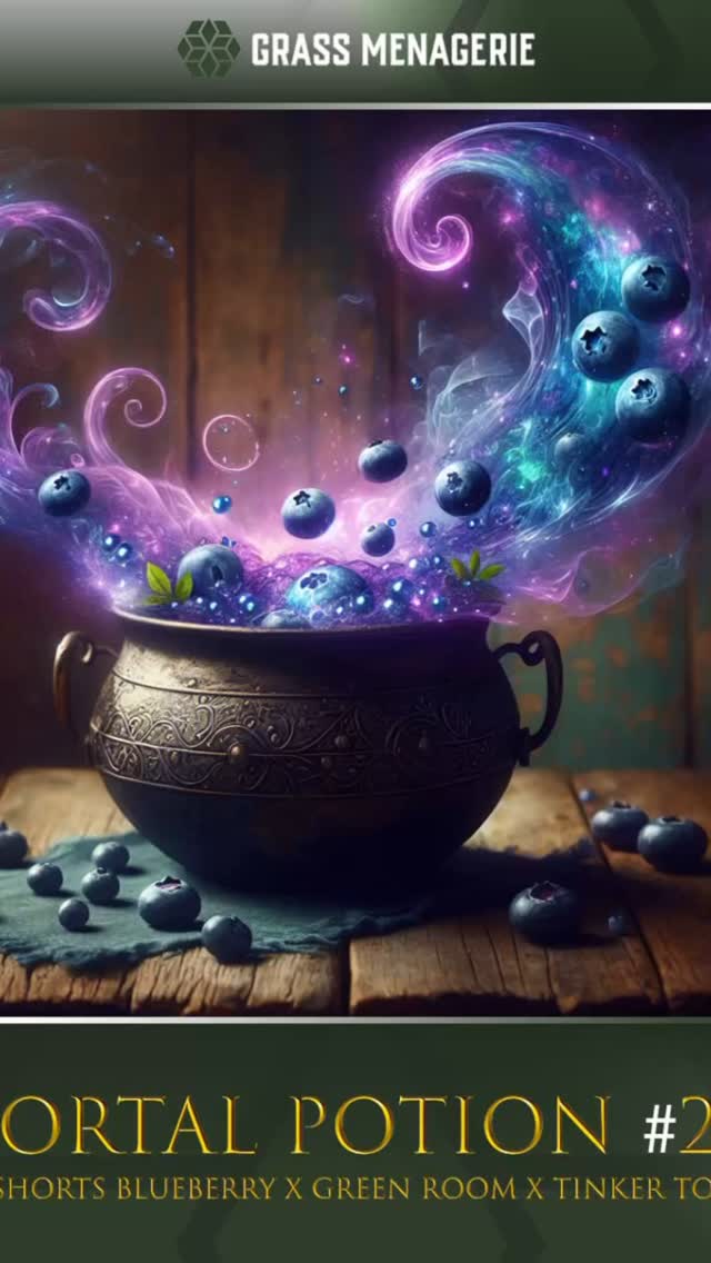 This is our Portal Potion #23!
We took @redsetterfarm ‘s (DJ Shorts blueberry f4 x Green Room CBD) and crossed it with our Tinker Toots F1 male.
The combination created some amazingly balanced hybrids! These plants were all purple buds, straight SPEARS COMING off the plant.
Masterfully grown by @benifarmz! I am grateful I got a sample!