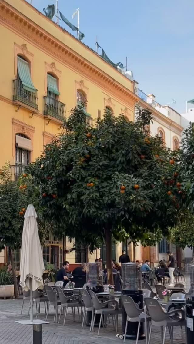 Bubbly Tourist LOVES experiencing unique drinks and foods when travelling! Be sure to add this fun concoction to your list of things to try in Sevilla Spain! Travel More Travel Bubbly! #bubblytourist #sevilla #spain❤️ #coffee #orangecoffee #travelmore #travelmoretravelbubbly #ilovetotravel #travel #travelblogger #seetheworld #seetheworldthroughcoffee #vacation #traveller #trips