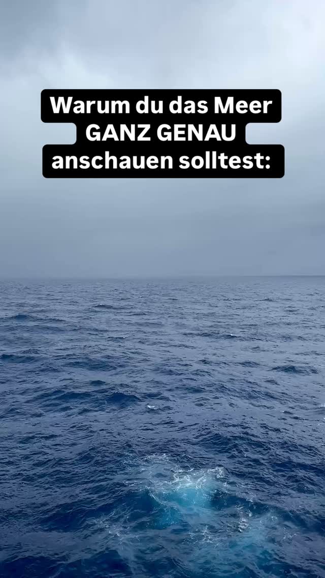 Die Natur zeigt uns die schönsten Farben 🩵💙
Gefällt dir die Kombi?
#farben #color #interior #colormix #farbkombination #design #inneneinrichtung #bauherrin2025