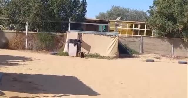 Always fun to see the little ones run wild during their field trip🩵💫✨ @barkparkdubai
#dubaidogs #dogsindubai #dubai #mydubai #dogs #nyc #hellofromspot #boarding #grooming #welovedogs #dogsofdubai #dubaidog #doggieboarding #doggiedaycare #doggieboarding #dogdaycare #dogdays #uaedogs #dxbdogs #everydayawesome #adoptdontshop #pethealth #petnutrition #happypup #suspect