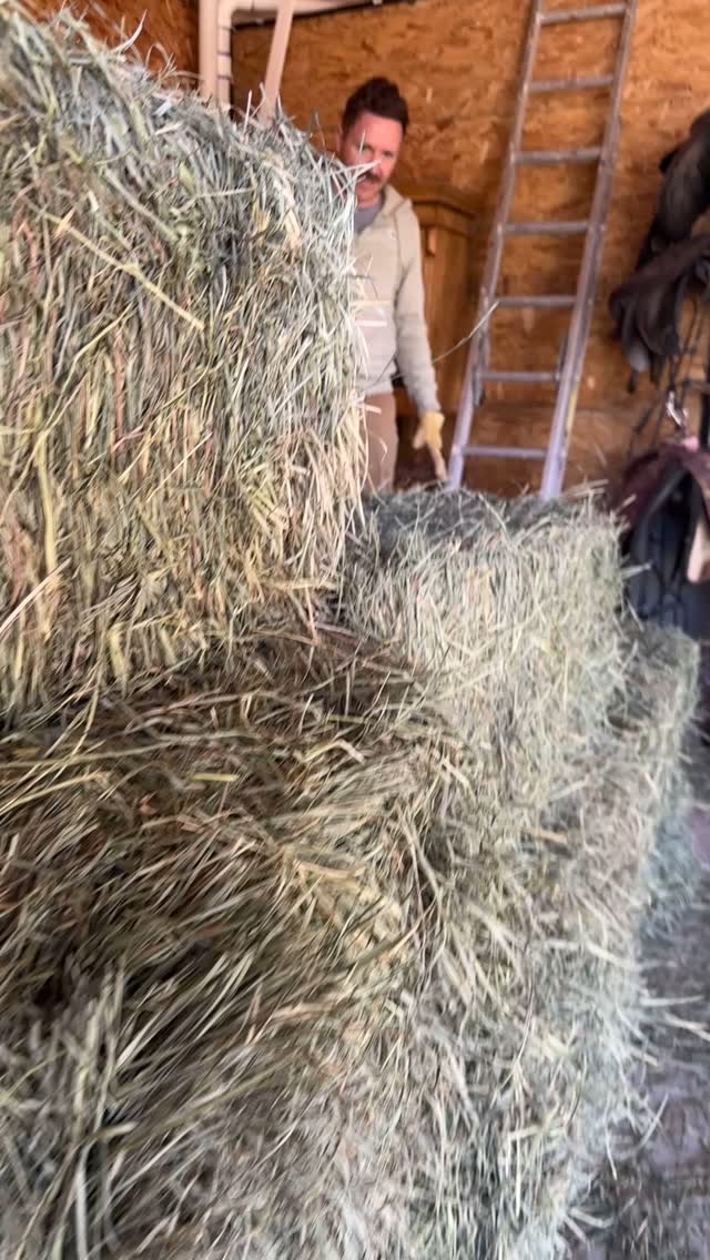 There are 2 types of people.
One who looks composed and clean even when unloading hay.
And one who looks like they took a deep swim in the hay!
Let it be known I even tried to copy his form and still landed with hay in my undergarments and hair. 😂💛