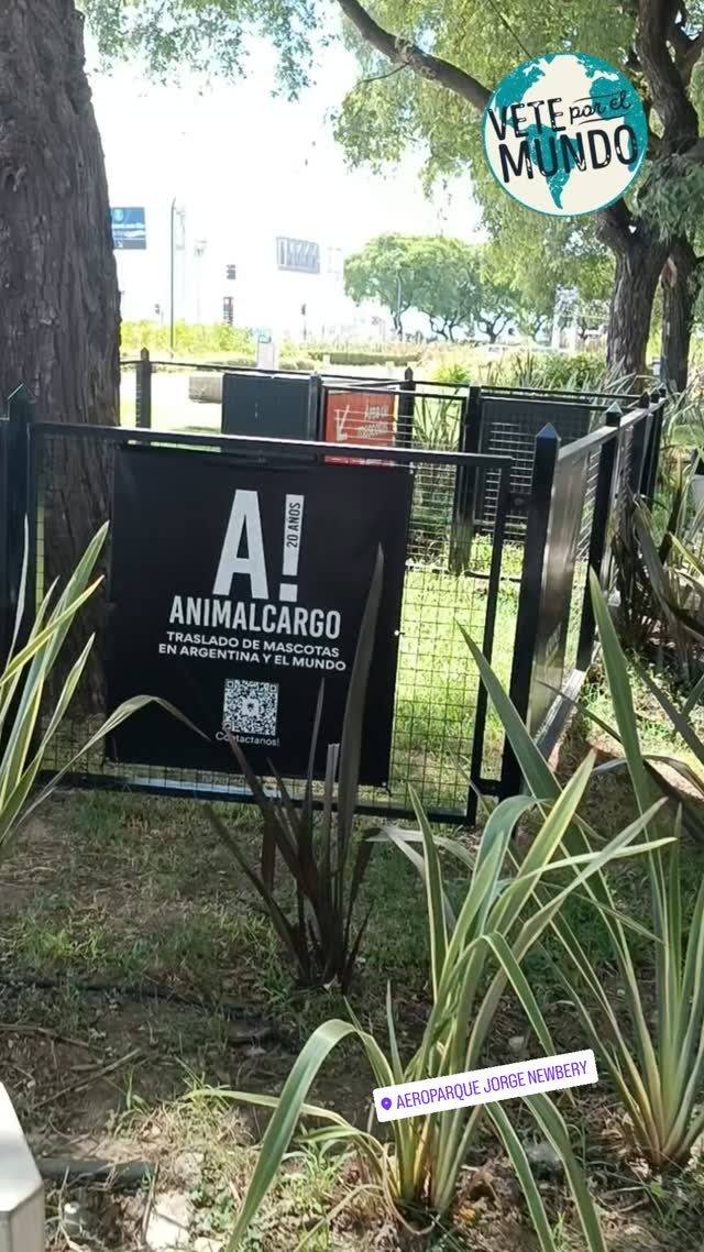 #petfriendly #mascotas #veteporelmundo #viajarconmascotas #perrosygatos #argentina #aeropuerto