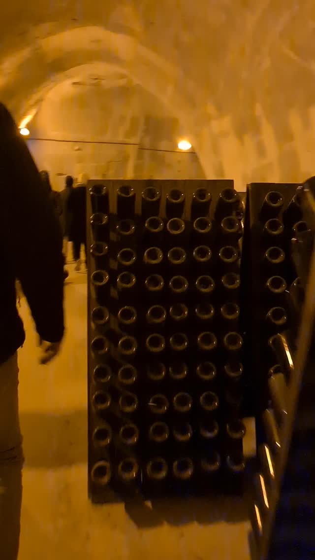 Prepare to be amazed by the sheer size of Champagne cellars.
#toursinchampagne
#tourwithlocals
#besttours #winetours #champagne #champagneexperience 
#champagnelover #champagnelovers
#champagneaddict #champagne
#private #privatexperience #honeymoon #champagnesecret #champagnemoments #champagneprivateexperience #luxurychampagne #finechampagne #champagneguide #champagnelife  #champagnetasting #winelover #winelovers #winetasting  #wineblogger #winedestination #winetravel #winetraveler
#thechampagnewineclub #champagneluxurytrip