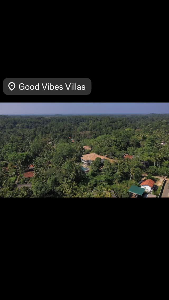 Lost in Paradise 🦎🦚🐿️🌱✨#nature #jungleretreat #hiddengems #holiday #breakfast #boutiquehotel #srilanka #galle #serenity #peace #healthy #goodvibes